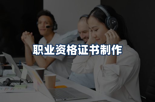 职业资格展示